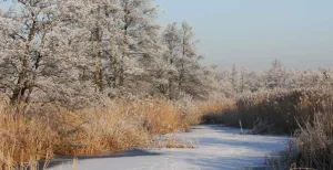 Haal ook eens een frisse neus bij deze winterwandelingen