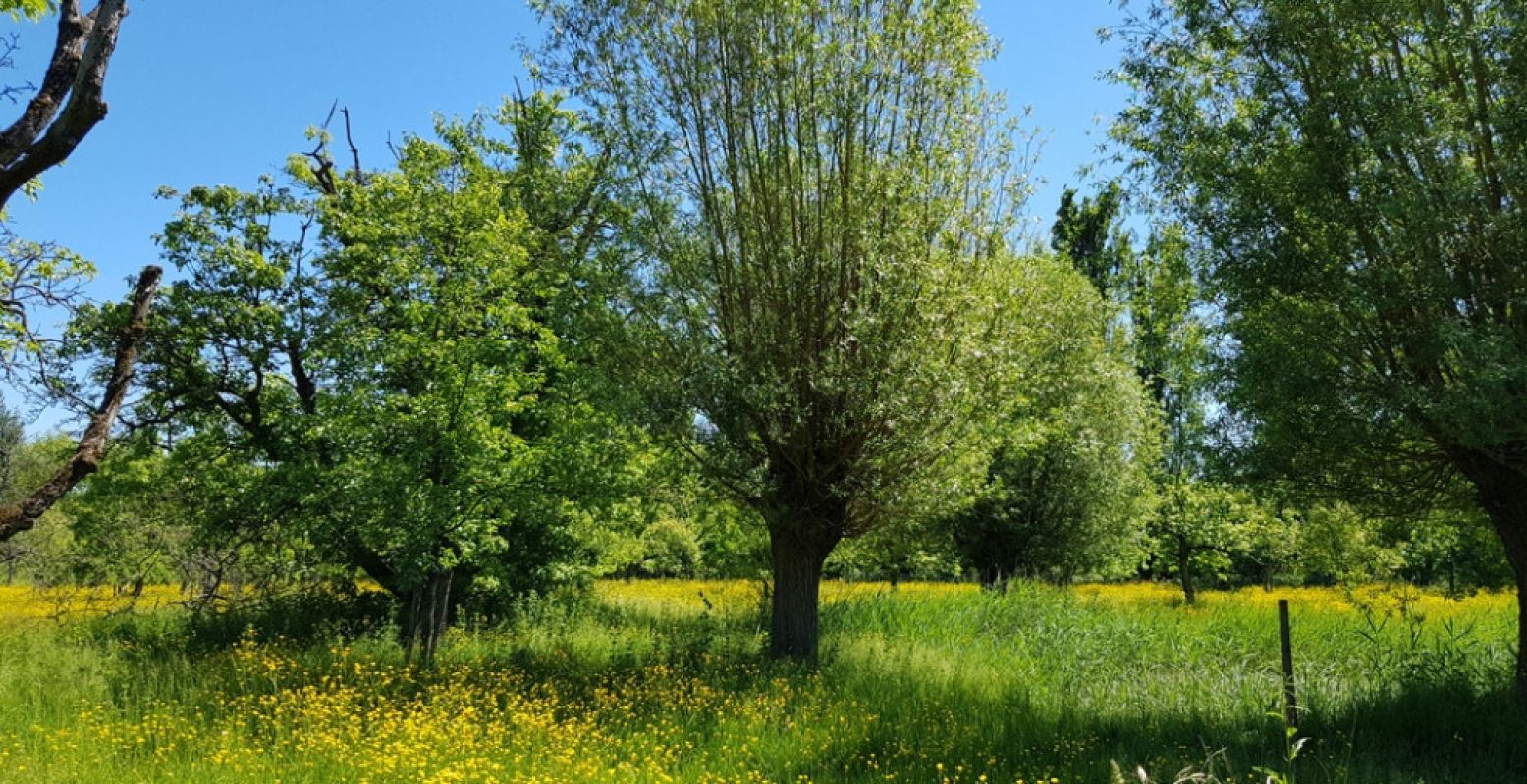 Het park rond de Hollandsche Hoeve is prachtig om in te wandelen. Foto: DagjeWeg.NL @ Tonny van Oosten