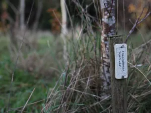 Beemster Arboretum heeft maar liefst 2600 verschillende soorten bomen en struiken. Foto: DagjeWeg.NL