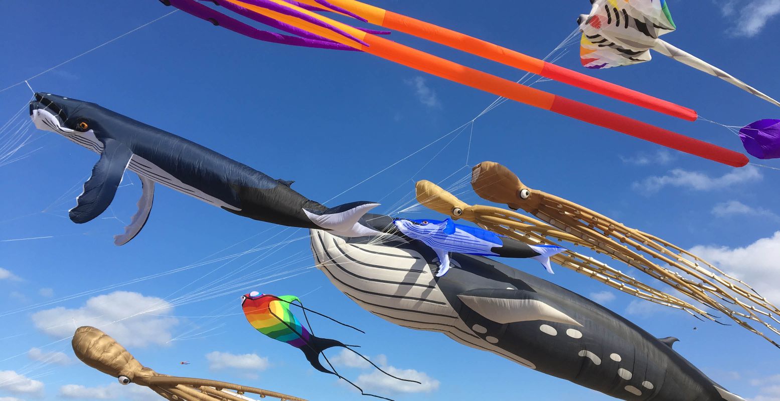 Honderden vliegers kiezen het luchtruim. Foto: Vliegerfeest Scheveningen, Team Lekker Windje