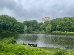 Foto: Ankie Klut