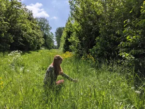 Ga je mee op wildplukwandeling in Almere foto: OnderwegmettamaraFoto geüpload door gebruiker.
