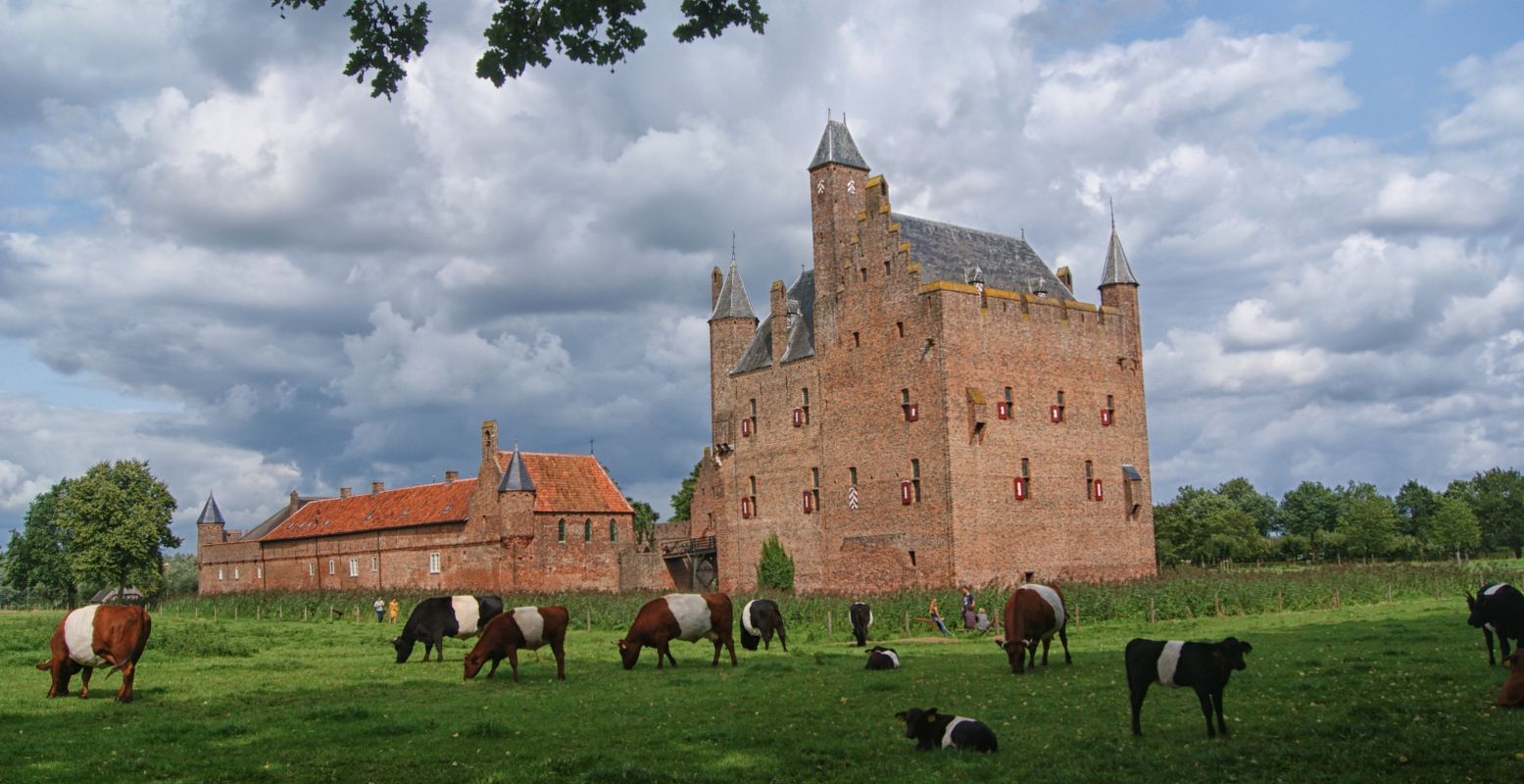 In het mooie rivierenlandschap van de Rijn en de Waal vind je Kasteel Doornenburg. Foto: Michel van der Vegt via  Pixabay 