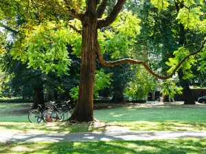 Stadspark Maastricht