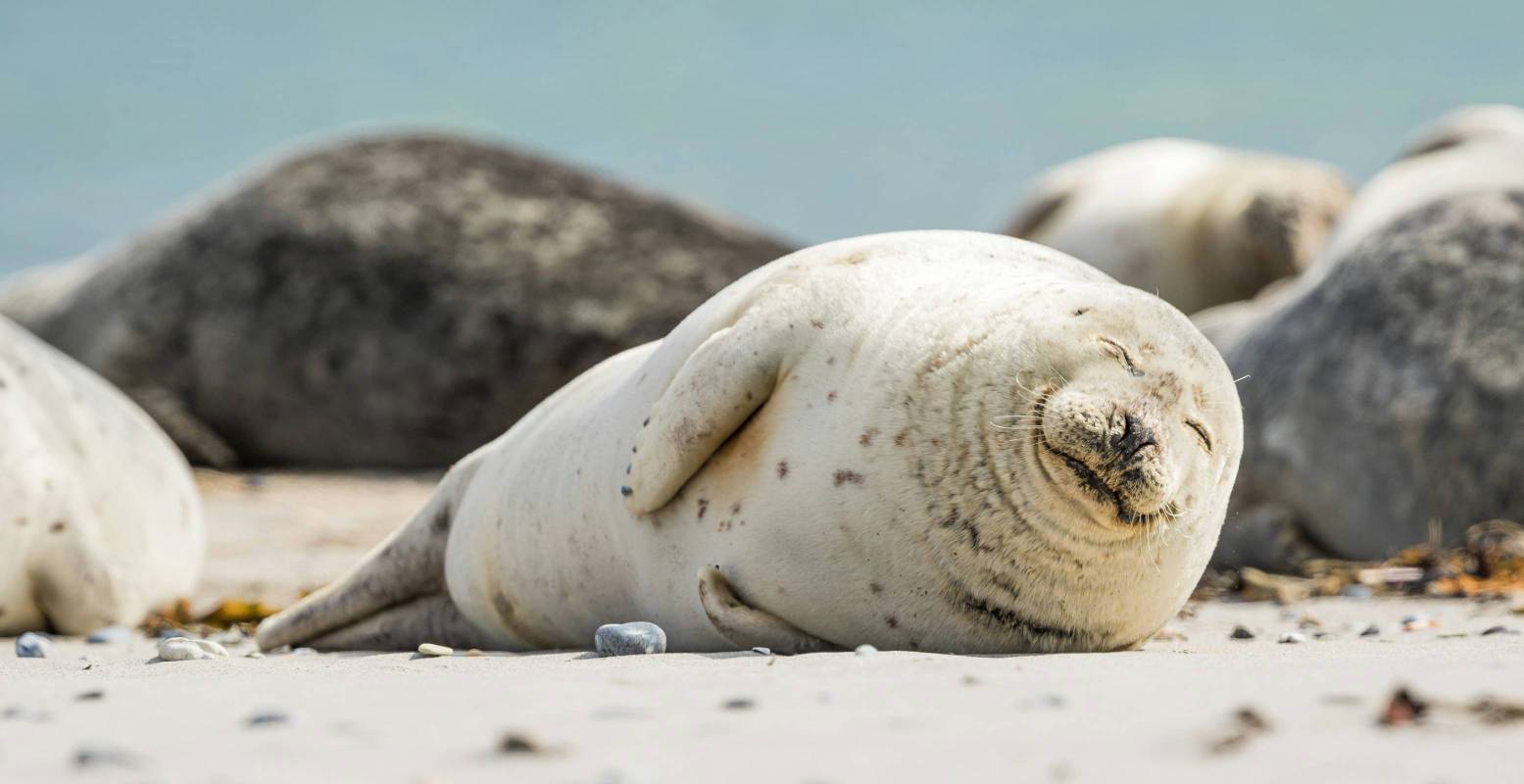 Foto: Zdeněk Macháček via Unsplash Foto: Zdeněk Macháček via Unsplash