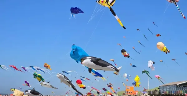 Kleurrijk Vliegerfeest in Callantsoog