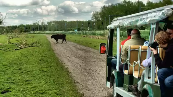 Groep rijdt in een ecokar in de Oostvaardersplassen | Foto ge&uuml;pload door gebruiker Staatsbosbeheer.