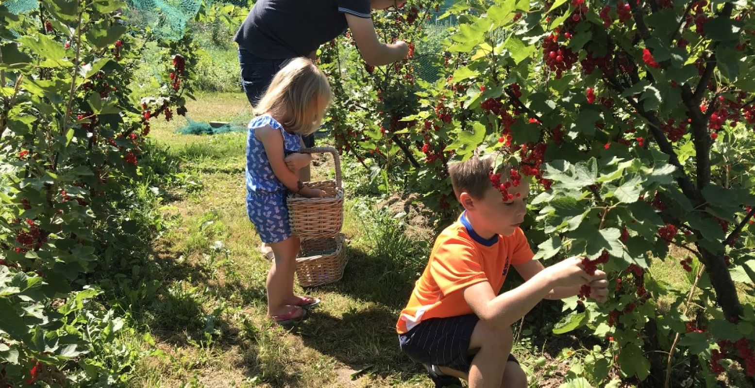 Bezoek eens een pluktuin! Foto: Grytsje Anna Pietersma.