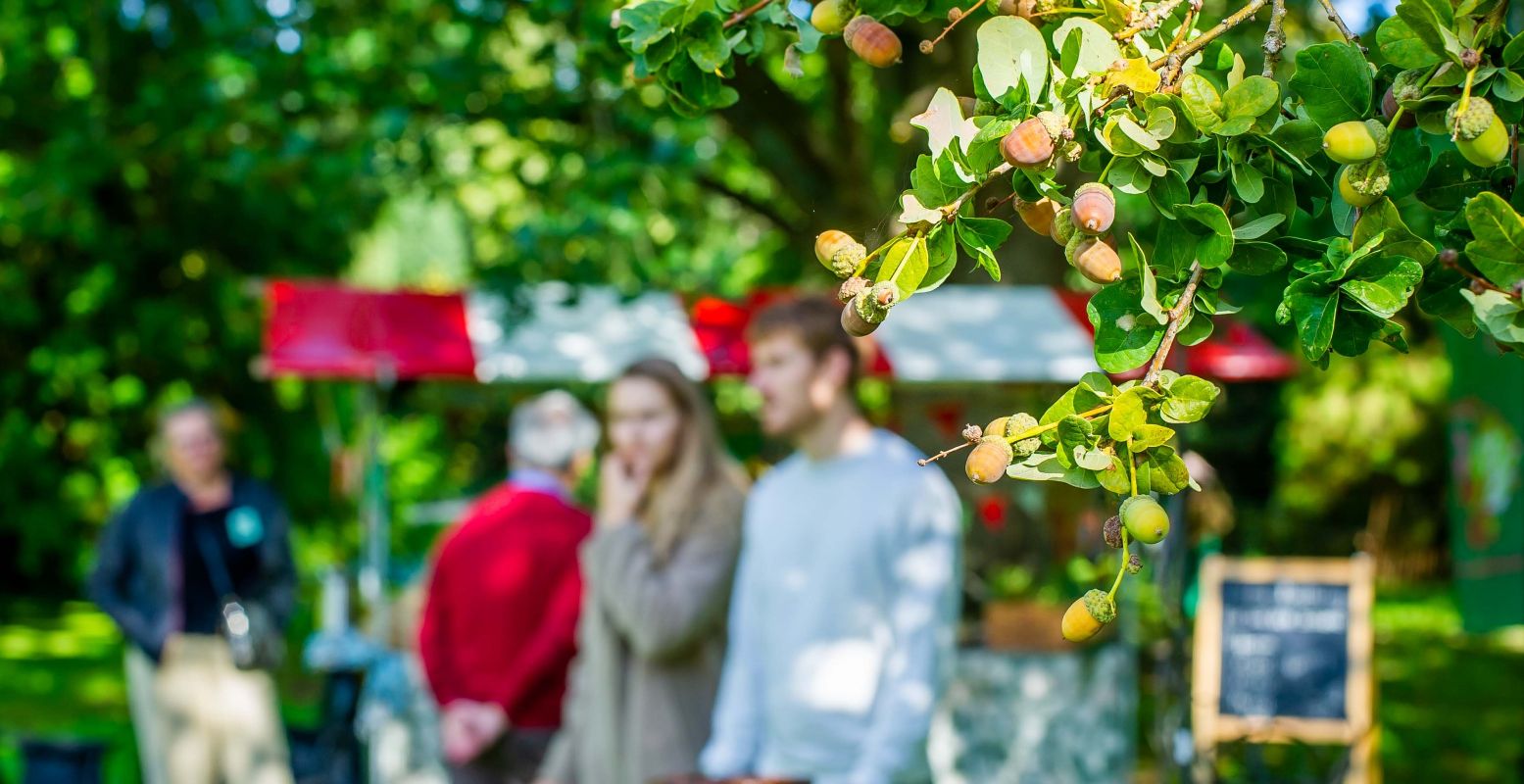 Op de Herfstfair in Trompenburg Tuinen & Arboretum vind je alles voor je eigen tuin of balkon. Foto: Trompenburg Tuinen & Arboretum