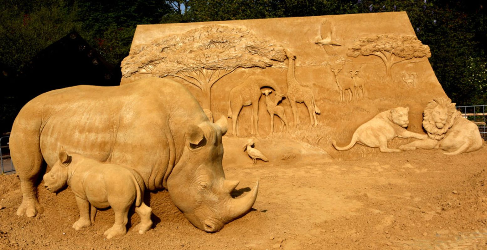 De witte neushoorn gemaakt van zand. Foto: GaiaZOO