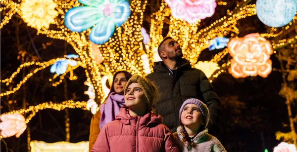 Winteravonden als een sprookje: bezoek deze 9 betoverende lichtfestivals