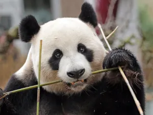 Bezoek een dierenpark!