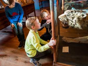 Wat een grote tanden... Foto: Natuurmuseum Fryslân