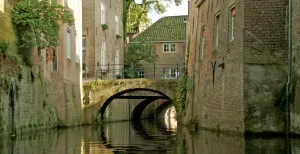 Top 25 uitjes van 2018