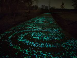 Fietspad Van Gogh-Roosegaarde