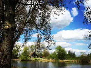 Nationaal Park de Biesbosch - Bezoekerscentrum Drimmelen