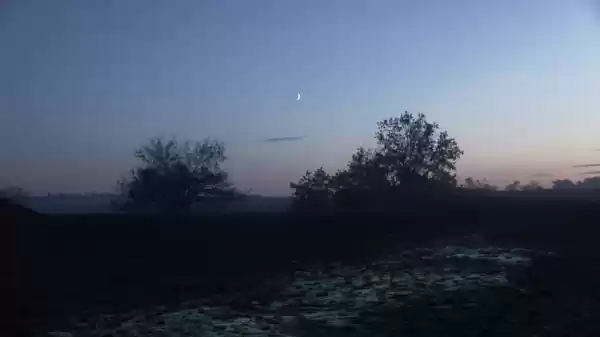Nacht van de Nacht Westerschouwen avondschemering | Foto geüpload door gebruiker Staatsbosbeheer.