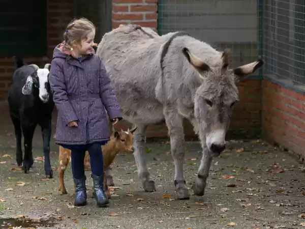 Even rustig aan doen op de kinderboerderij. Foto: Familiepark Nienoord © Sanne Ruissen