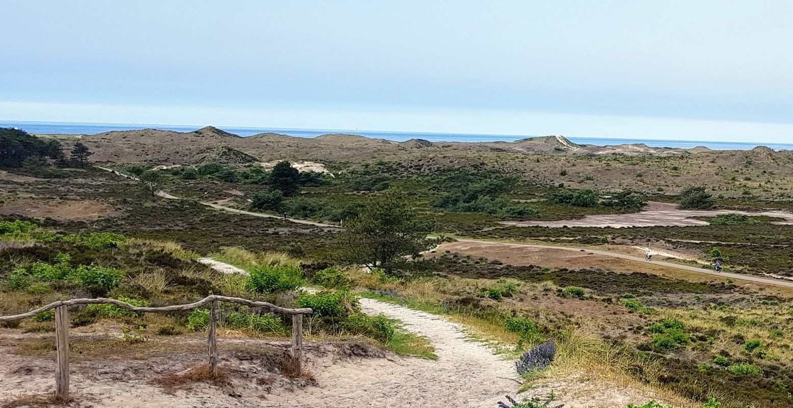 Uitzicht op zee vanaf de Schoorlse Duinen, waar je de hoogste duintoppen van Nederland vindt. Foto: DagjeWeg.NL © Henk Arendse