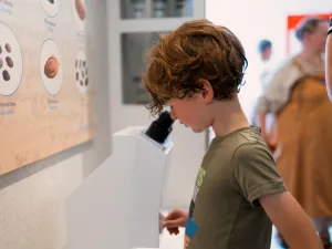 Wees archeoloog voor een dag! Foto: preHistorisch Dorp