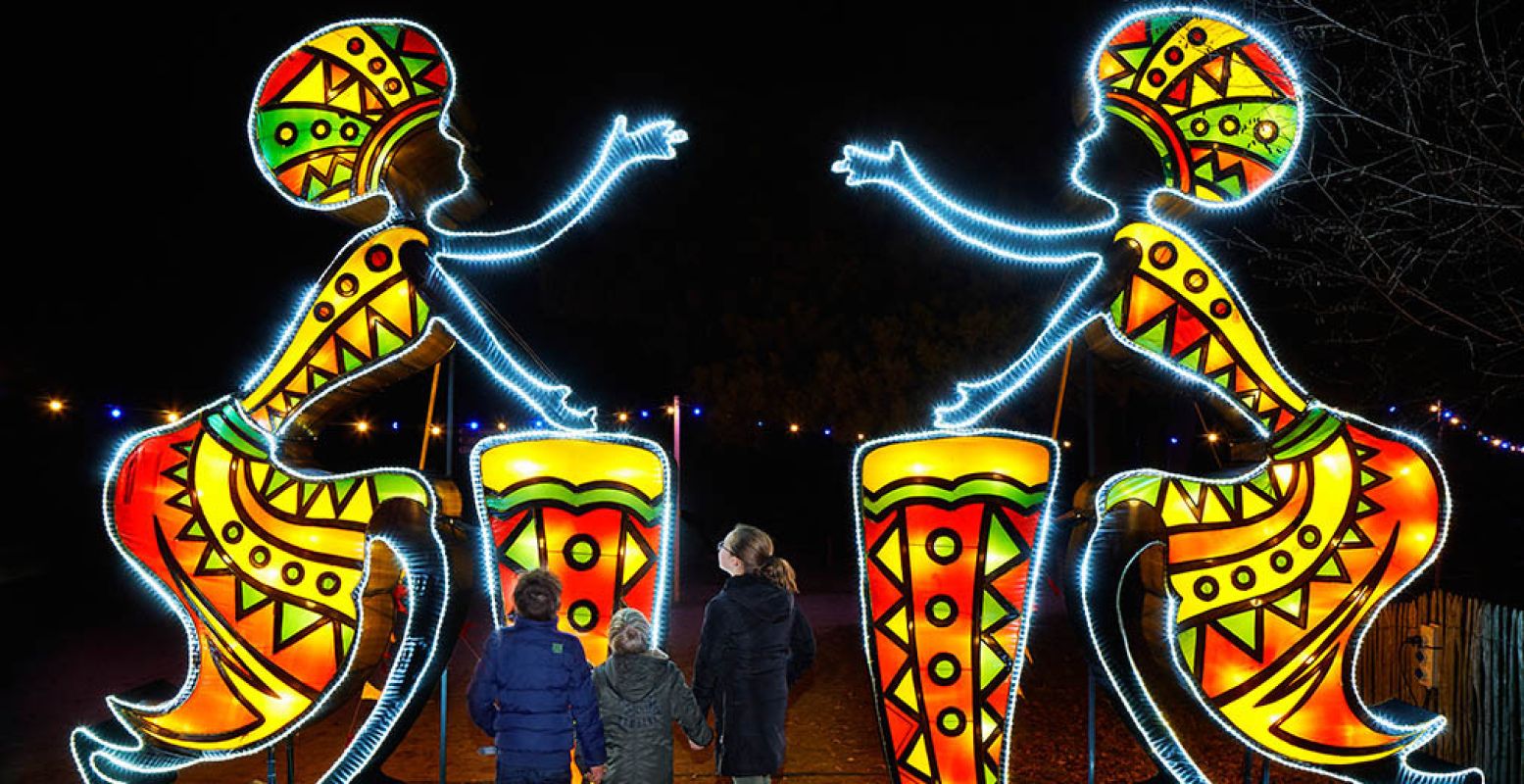 Tijdens een route van 2,5 kilometer kom je in Safaripark Beekse Bergen prachtige lichtkunstwerken tegen. Foto: Africa by Light.