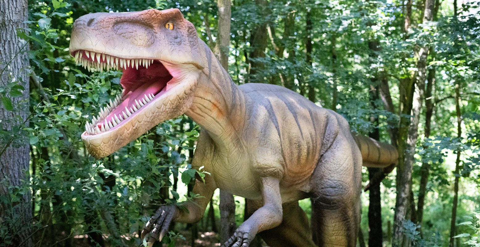 Sta oog in oog met een enorme T. Rex. Foto: De Dino Fabriek