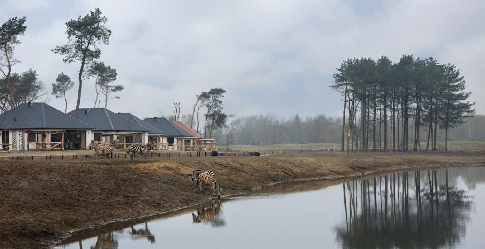 Safari in eigen land. Overnachten in het Vakantiepark en Safari Resort voelt als een verre reis. Foto: Safaripark Beekse Bergen.