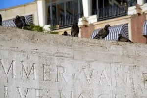 Vier de zomer in Amsterdam II