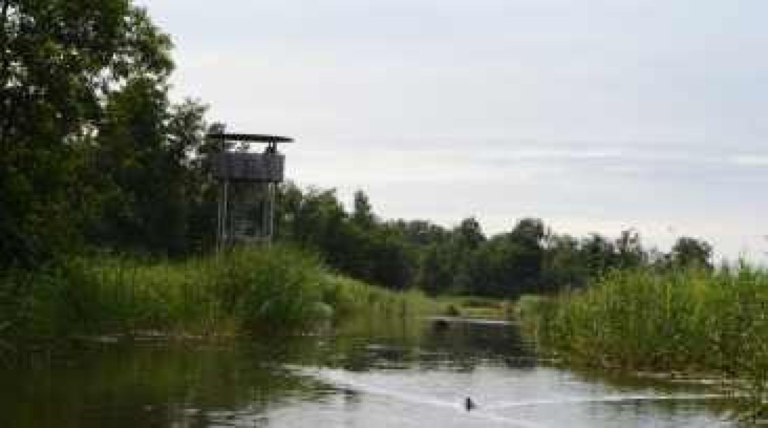 Halverwege de tocht: uitkijktoren in het natuurgebied.