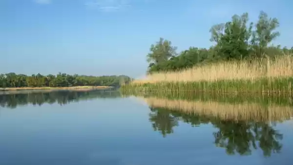 Biesbosch | Foto ge&uuml;pload door gebruiker Staatsbosbeheer.