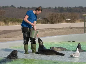 Ecomare Texel Zie hoe de dieren gevoerd worden. Foto: Ecomare