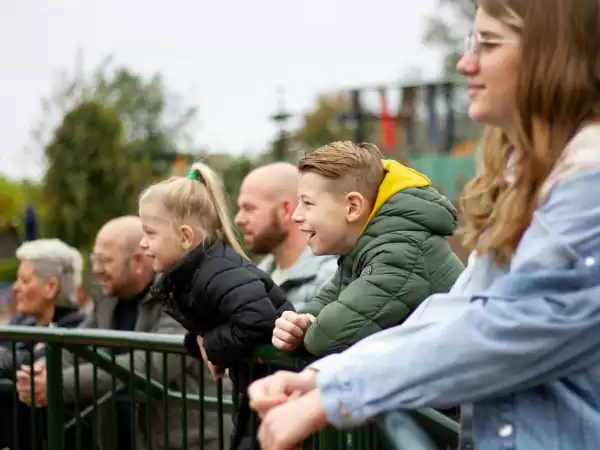 Bekijk diverse spetterende dierenshows. Foto: Dolfinarium
