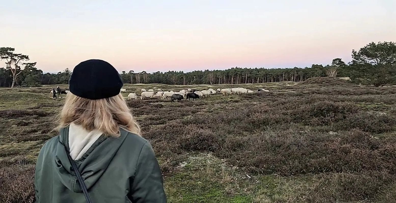 Ontdek hoe mooi de natuur in Nederland is. Foto: Jonna Arendse