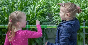 Plantjes verpotten en kassen verkennen tijdens Kom in de Kas