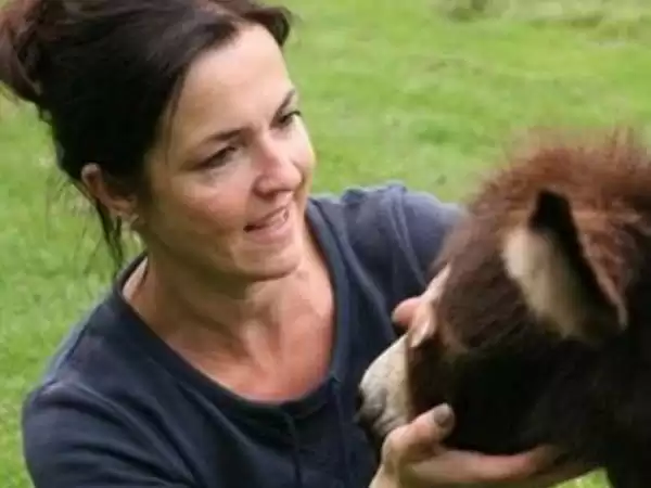 FarmCamps De Bosrand Dieren aaien