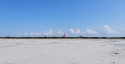 Hoeven in het zand: huifkartocht op Schiermonnikoog