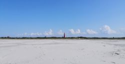 Hoeven in het zand: huifkartocht op Schiermonnikoog
