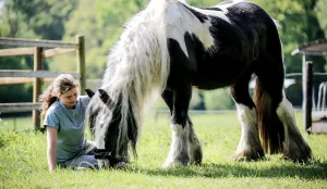 Manege het Roessingh. Foto: Lieke Goverts. Manege het Roessingh. Foto: Lieke Goverts.