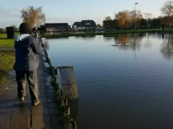 Foto: Forellenvisvijvers De Kamphoeveâ€Ž.