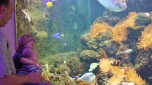 Vier de lente in Antwerpen Zoo Het historische aquarium is helemaal vernieuwd. Foto: Jonas Verhulst, Antwerpen Zoo
