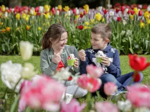 Foto: Keukenhof.