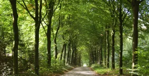 Dagjes uit in de natuur