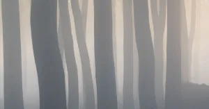 OERRR Dauwtrappen met het hele gezin in _s-Graveland OERRR Dauwtrappen met het hele gezin in 's-Graveland | Foto geüpload door gebruiker Natuurmonumenten.