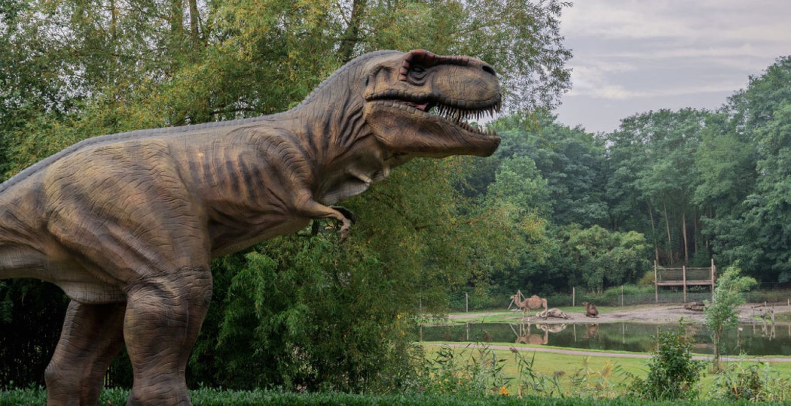 De T.rex heet je welkom in ZooParc. Foto: ZooParc Overloon