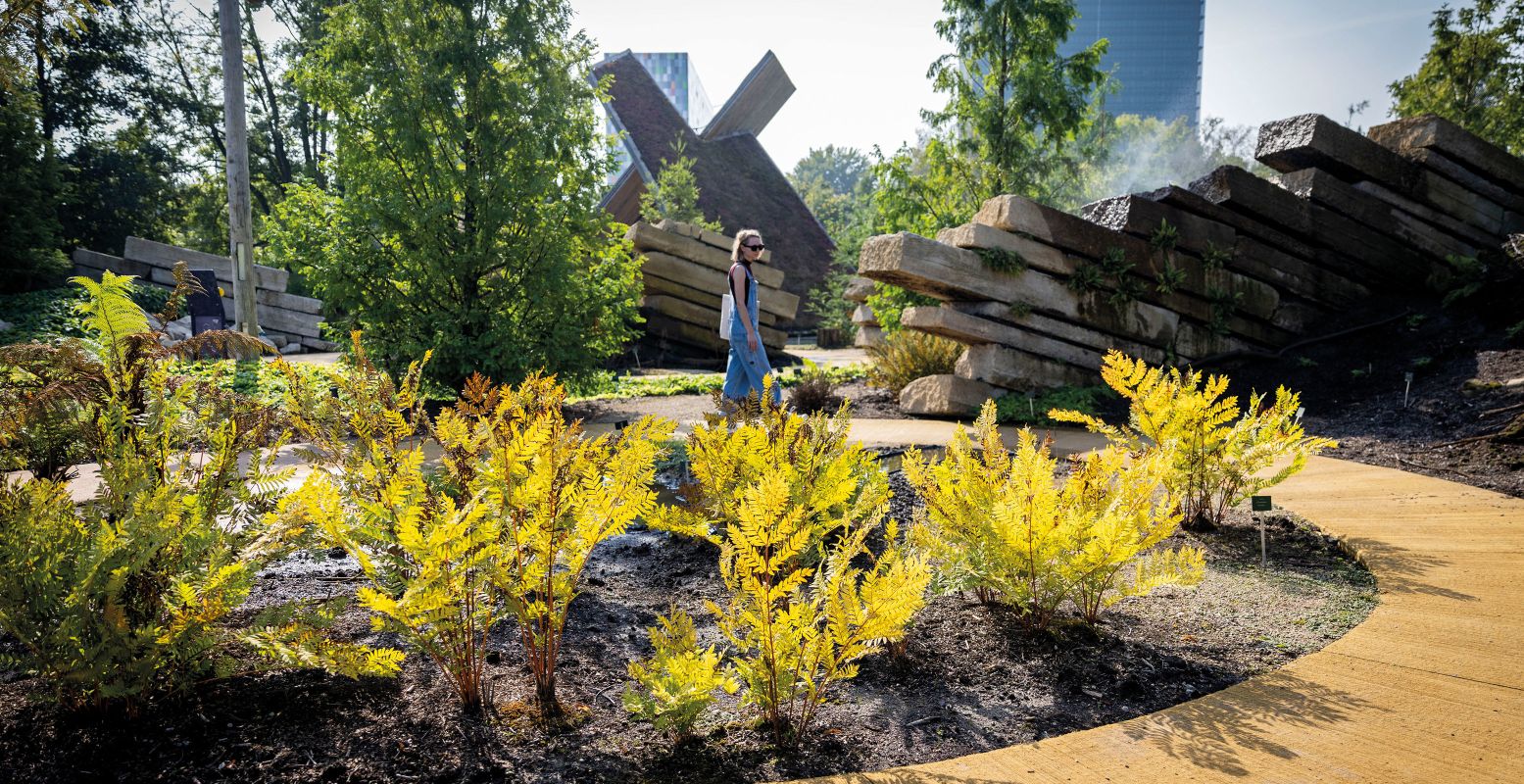 Leer alles over de plantenevolutie in de Evolutietuin. Foto: Lize Kraan Leer alles over de plantenevolutie in de Evolutietuin. Foto: Lize Kraan