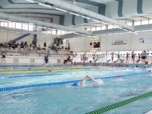Snelcursus Zwemmen Met Alkmaar Sport