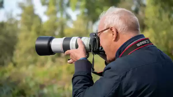 fotografie | Foto geüpload door gebruiker Staatsbosbeheer. fotografie | Foto geüpload door gebruiker Staatsbosbeheer.