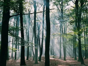 Verken de schitterende natuur.