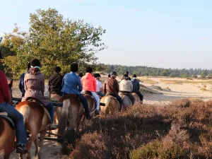 Foto: Manege van Loon.