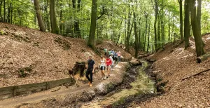 Op pad: wandel de 100 jaar oude Gelderlandroute Wandel van de Veluwezoom naar de Achterhoek. Foto: Ellen Luijks